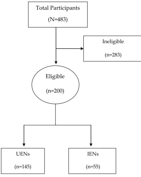 Figure 7. Participant Development Flow Chart  