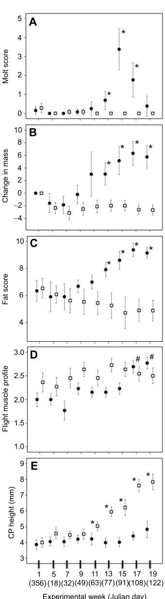 Fig. 2. Morphological comparisons across subspecies. Measurements of