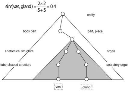 Figure 2: Example of similarity calculation.