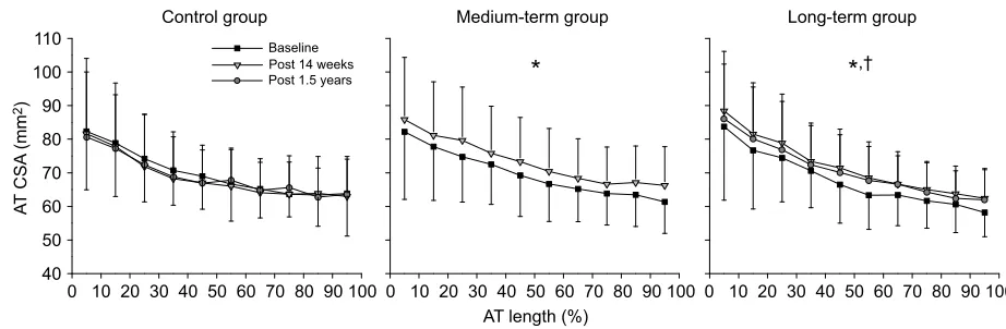 Fig. 4. Achilles tendon measurements along the free tendon after exercise intervention