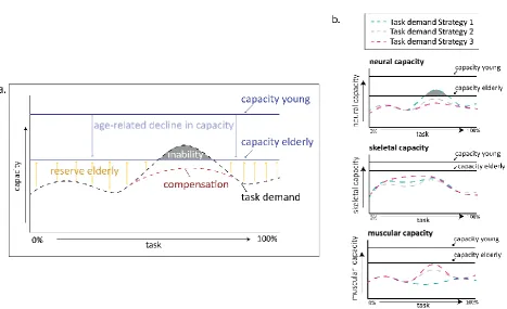 FIGURE 2: a) Task-specific overview of capacity, reserve, and compensation. Capacity is defined as the 