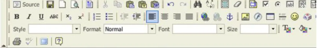 Figure 6. Drupal's default text editor.