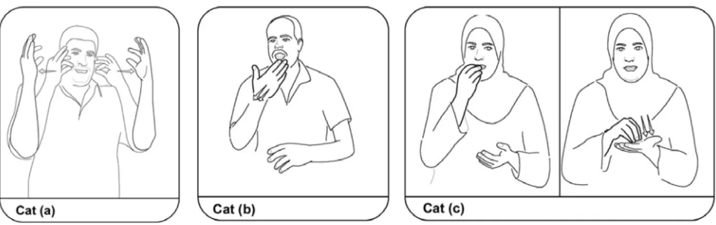 Figure 1: Three variants of the sign cat in ABSL 