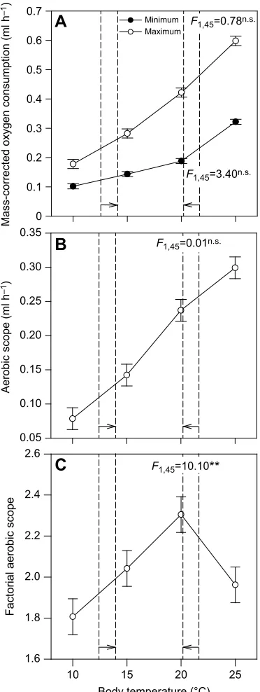 Fig. 3. Temperature dependence of respirometry traits in alpine newts,I. alpestrismeans±s.e.m