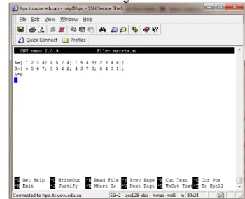 Figure 2.2.: Use nano to create your input file.