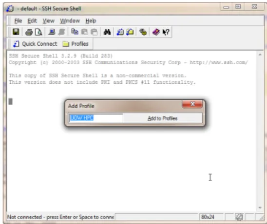 Figure A.7.: Add a profile named ‘UoW HPC’ and click Add to Profiles.
