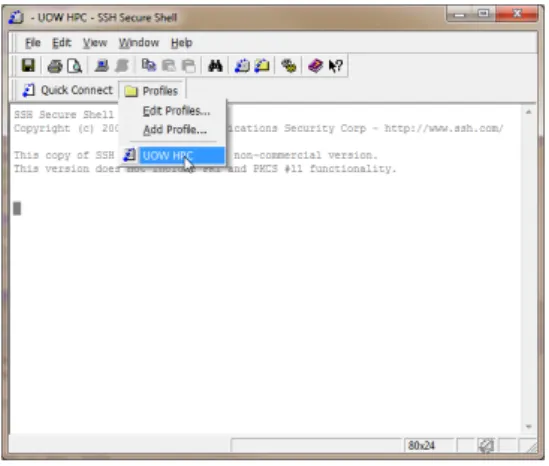 Figure A.9.: Click Profiles and select UOW HPC to log in the cluster.