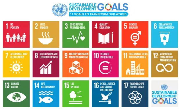 Figure 5.3: SDGs (UN,2016b).