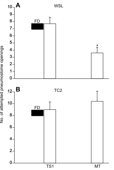Fig. 3. Food deprivation does not alter the ability of ‘receiving the single 0.5 h training session (TS1)