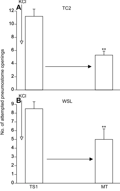 Fig. 5. Predator detection or a proxy of predator detection in ‘versusin CE still results in the single 0.5 h TS1 resulting in LTM