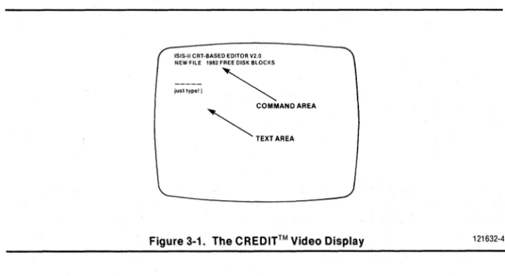 Figure 3-1. The CREDIT™ Video Display 