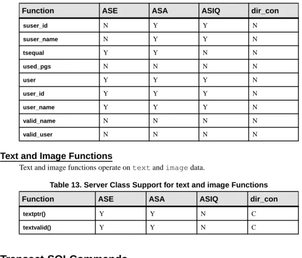 Table 13. Server Class Support for text and image Functions