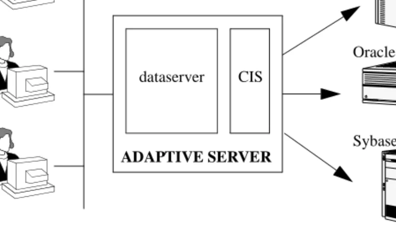 Figure 1-1: Component Integration Services connects to multiple  vendor databases