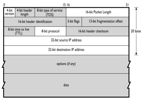 Figure 1.2: Structure of the IPv4 Header 4-bit
