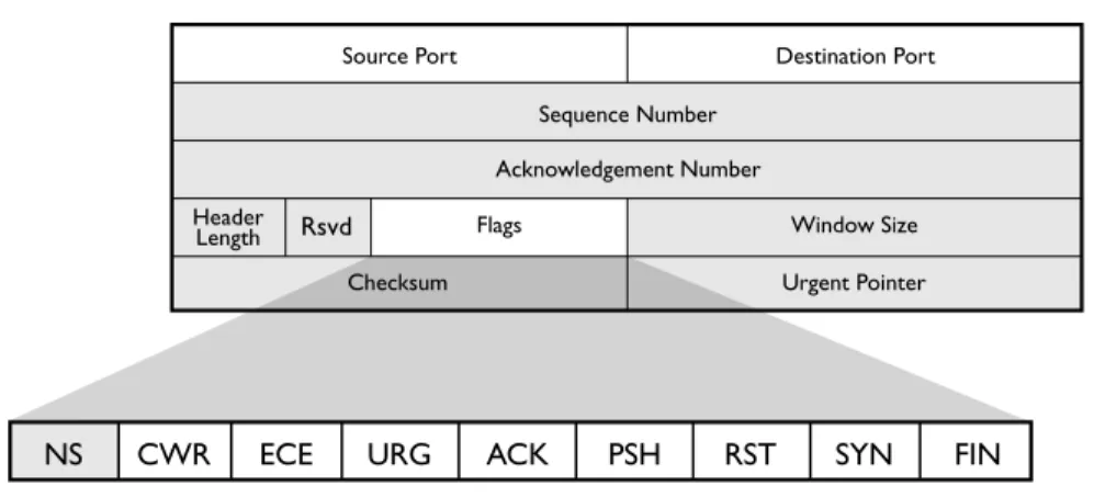 Figure 1.3 shows a breakdown of the TCP header, which adds 20 additional bytes to the IP header