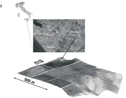 Fig. 1. Study area – a, extract of the soil map of Sicily – b (1:250 000).