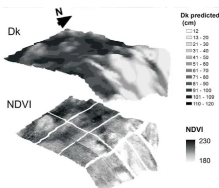 Fig. 5. Dk and NDVI maps overlying the DEM.