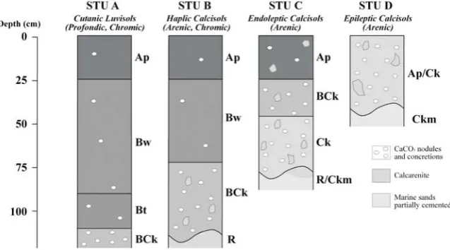 Fig. 6. Linear correlation between NDVI and Dk. The error barsshow the -90% and +90% quantiles.