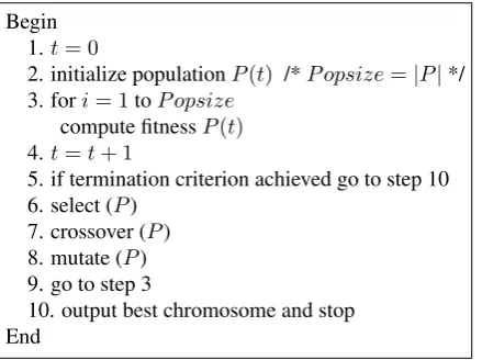 Figure 2: Chromosome Representation