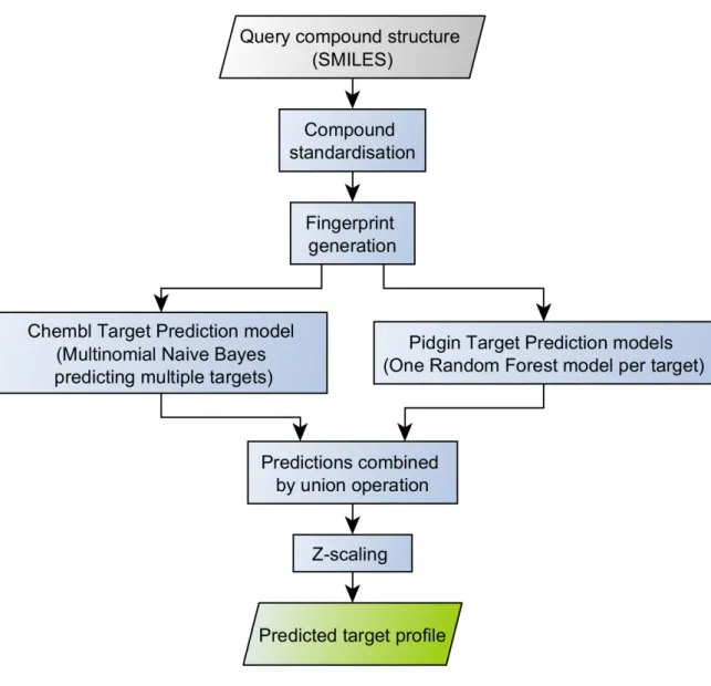 Figure 3. Target prediction workflow employed in this thesis. 