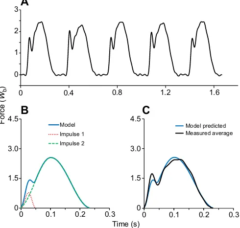 Fig. 4. Measured and predicted force–first, third and fifth step illustrated were footfalls from the right leg