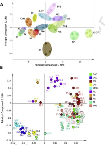 Fig. 6.UNCORRECTED PROOF Principal Component Analysis (PCA) fractions from milling and pearling of wheat cv HerewardA: PCA scores plot showing PC1 (40%) vs PC2 (18%)