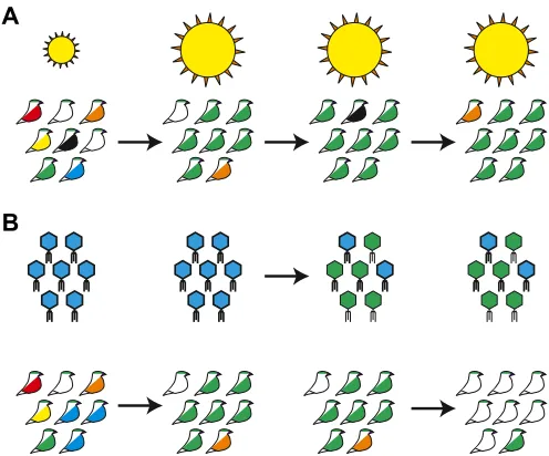 Fig. 1. Adaptation to static versus dynamic environments. (A) A change inenvironmental conditions (for example, a move to a higher temperature,represented as an increase in sun exposure) selects for bird genotypes (green)better adapted to the altered abiot