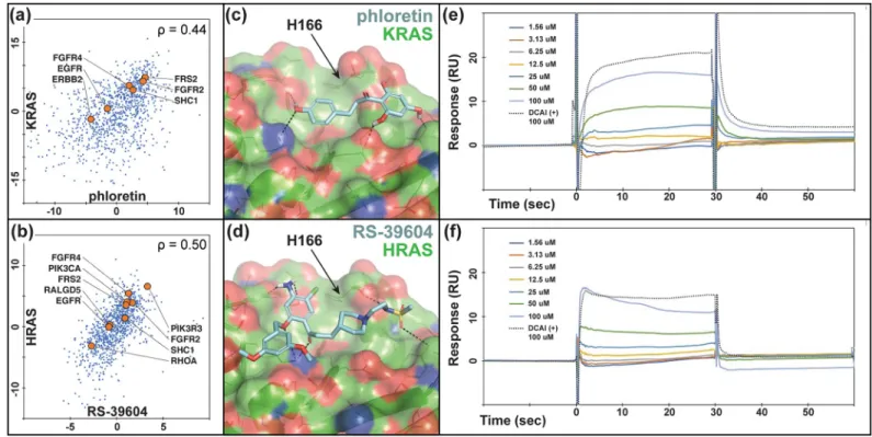 Fig 4. HRAS/KRAS inhibitors predicted based on direct correlations and docked poses show direct binding in SPR assays