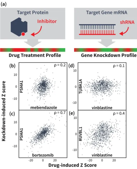 Fig 1. Drug and gene knockdown induced mRNA expression profile correlations reveal drug-target interactions.