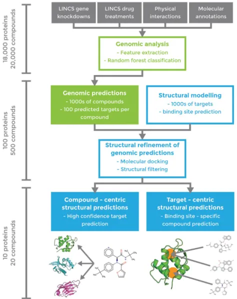 Fig 3. Workflow of combined genomic (green) and structural (blue) pipeline for drug-target interaction prediction