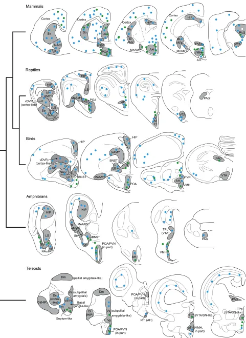 Fig. 2. See next page for legend.