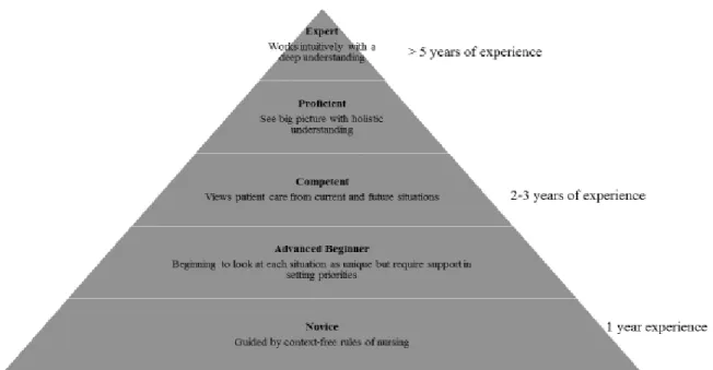 Figure 1.  Novice to expert model (Benner, 1984). 