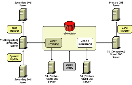 Figure 1-6   Novell Server As a Primary/Secondary DNS Server