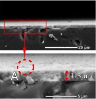 Figure 3. SEM images of the end face of the sample Z3