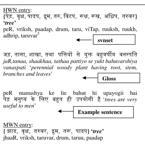 Figure 1: MWN synset creation from HWN