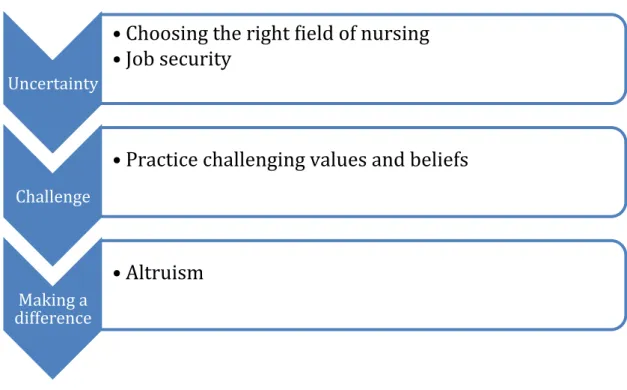 Fig 3 Themes: Professional socialisation  