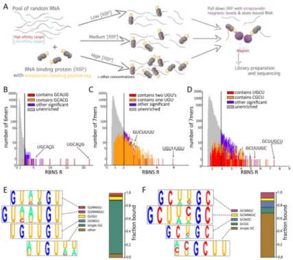 Figure 1. RNA Bind-n-Seq overview and motif enrichment analysis