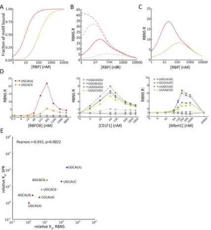 Figure 2. Modeling of RBNS data and estimation of dissociation constants