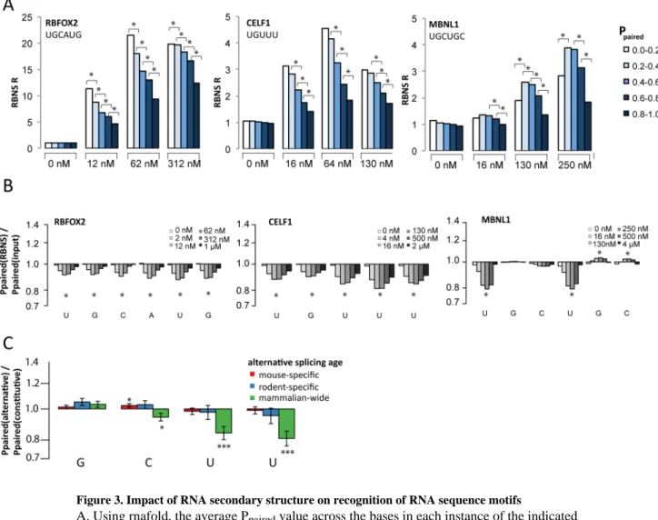 Figure 3. Impact of RNA secondary structure on recognition of RNA sequence motifs