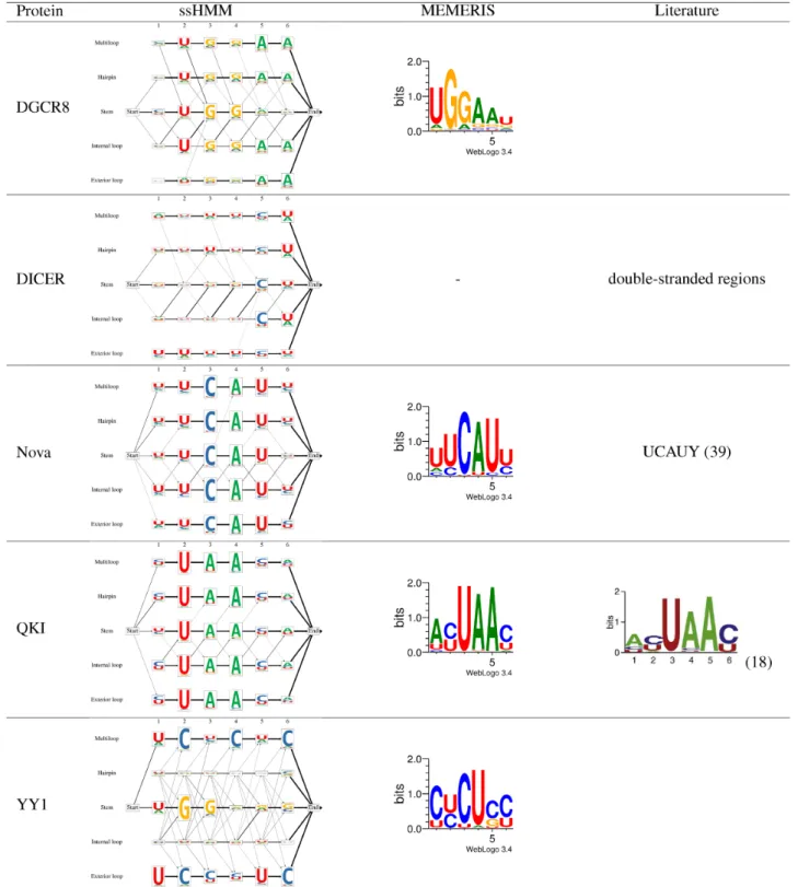 Table 2. Visualization of trained ssHMMs for five selected CLIP-Seq datasets