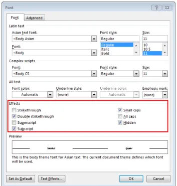 Fig. 1. Screenshot of the font settings from Microsoft Word 2013.