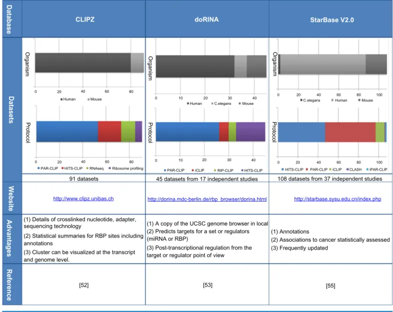 table 1. databases with cliP-seq data and associated characteristics.