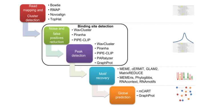 figure 2. steps for cliP-seq data processing.