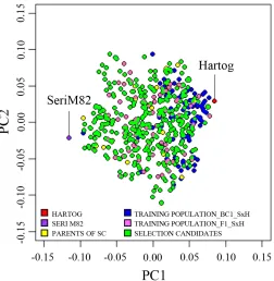 Table 2. Narrow-sense heritability (h2) of speed breeding (SB) traits measured on the training population (TP) and selection candidates (SCs), grown and phenotyped in separate SB glasshouse trials, and h2 of grain yield from all TP and SC field trials.