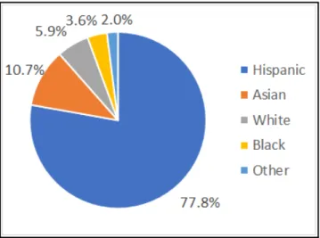 Fig. 1: Ethnic background of ELL students (Department of Education, 2017b).