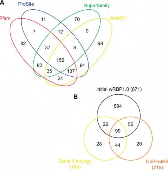 Figure 2.1: Venn diagrams of: A) Cross-validation of programs used by                       InteroProScan,   ​and B) initial wRBP1.0 list together with Gene Ontology and             UniProtKB listed RBPs 
