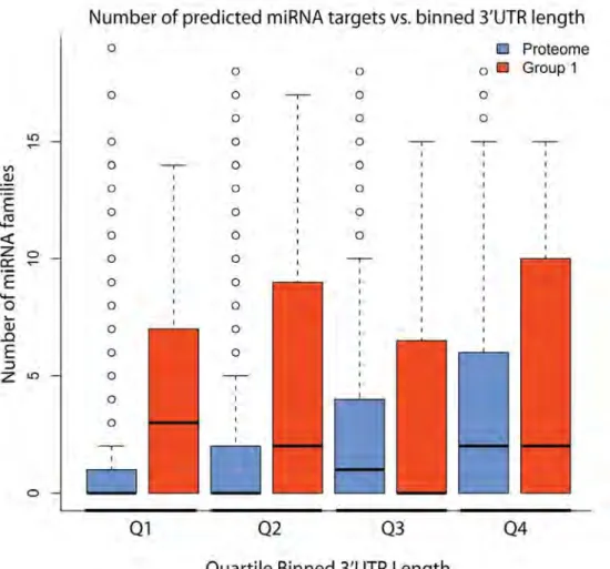 Figure 2.5: Quartile binned boxplots of miRNAs targeting RBP 3'UTRs                     ​vs