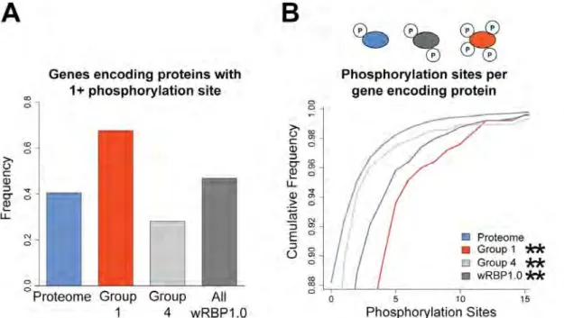 Figure 2.8: RBPs are extensively regulated post-translationally. A) More                   RBPs are phosphorylated