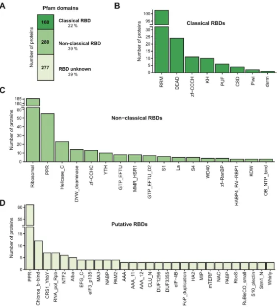 Figure 5. Domain architecture of the Arabidopsis leaf RNA-binding proteome (RBPome). (A) Number of proteins harbouring classical, non-classical or no known RNA-binding domains (RBDs) in the leaf RBPome based on Pfam annotation