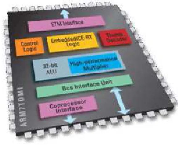Figure 11: ARM7TDMI Core The ARM7TDMI has a core based on the fourth version of the ARM architecture